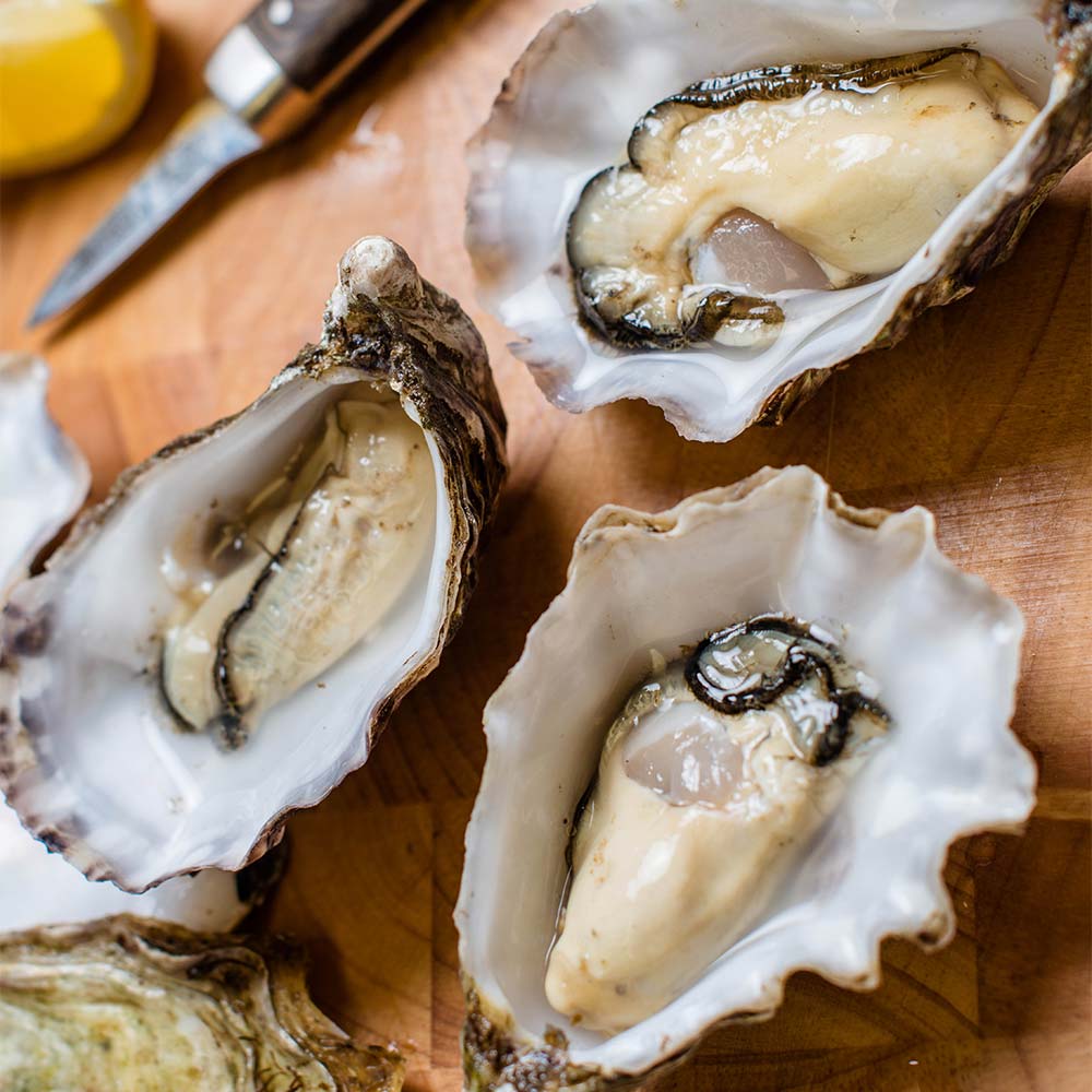 oysters-irish gastronomy