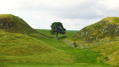 Hadrian’s Wall Path (East to West)