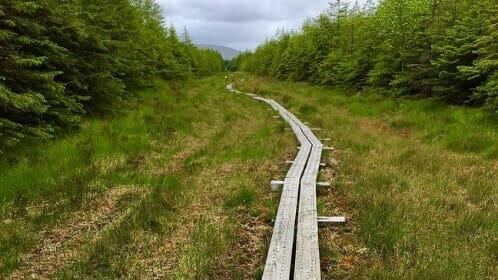 Connemara & the West of Ireland