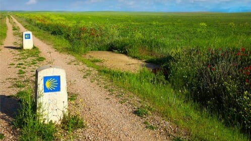 Camino Frances