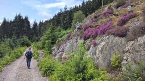 Great Glen Way & Loch Ness