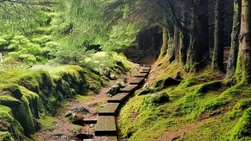 Montagnes de Wicklow