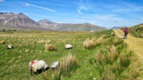 Connemara et l’Ouest Irlandais