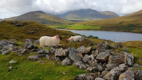 Connemara et l’Ouest Irlandais