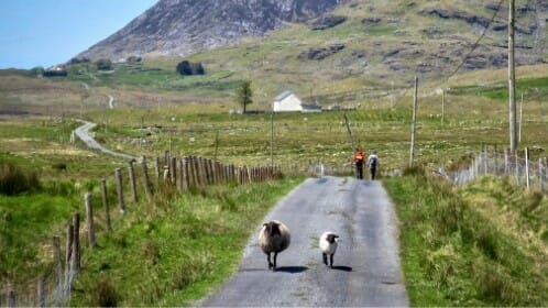 Connemara et l’Ouest Irlandais