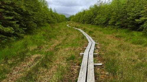 Connemara et l’Ouest Irlandais