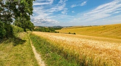 South Downs Way