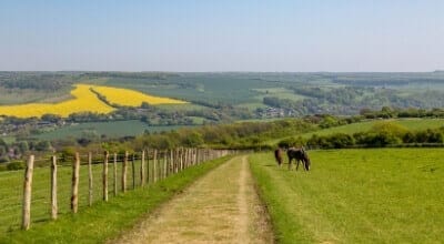 South Downs Way