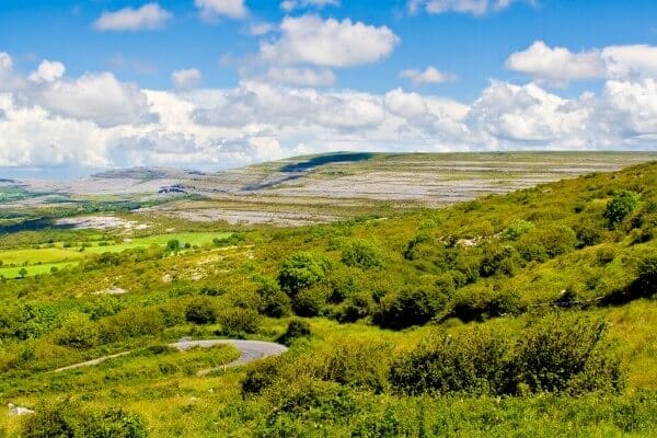 Ballyvaughan Wood Loop Hiking Guide from Hillwalk Tours