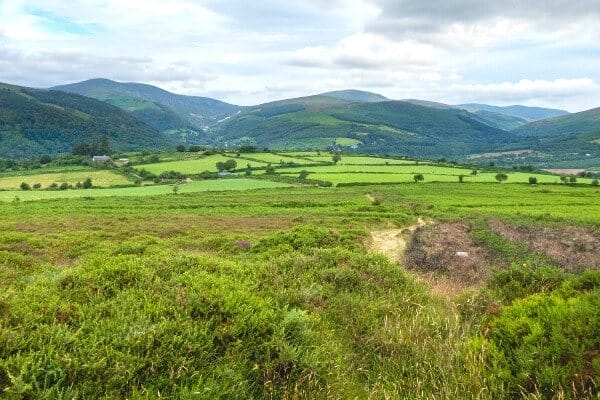 Free Hiking Guides for Wicklow with Hillwalk Tours