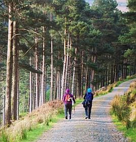 St Kevin’s Way &#038; Glendalough