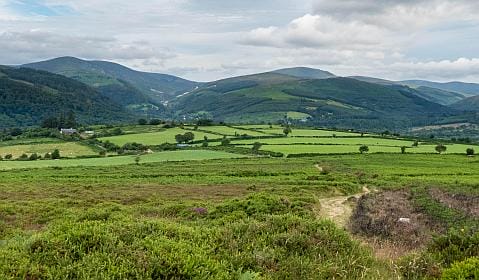 St Kevin’s Way & Glendalough