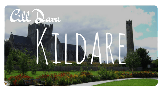 Irish Counties - Kildare
