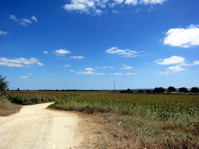 Camino Portuguese