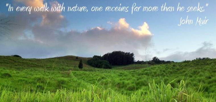 Nature Quote