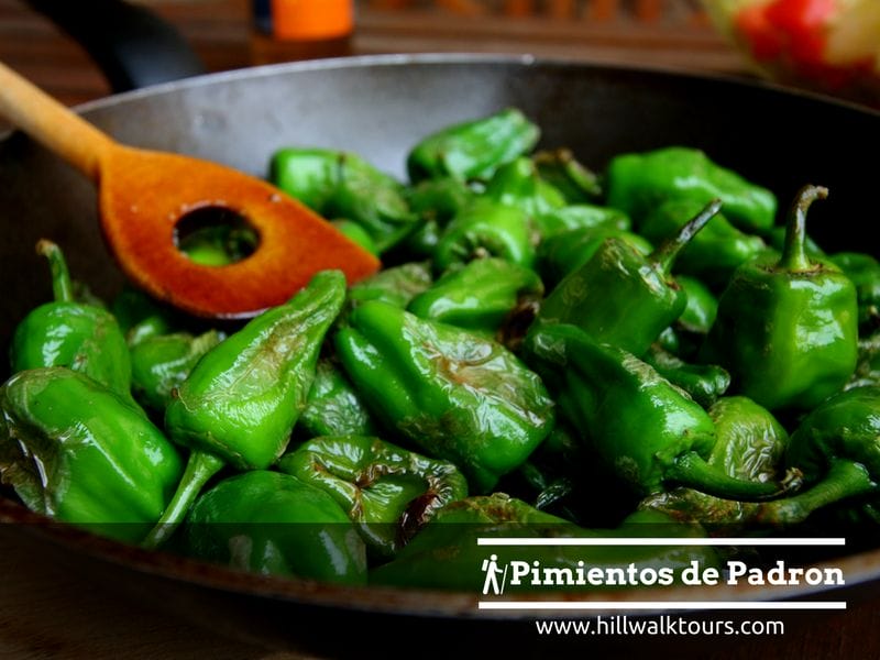 Pimientos de Padron - A typical Galician food