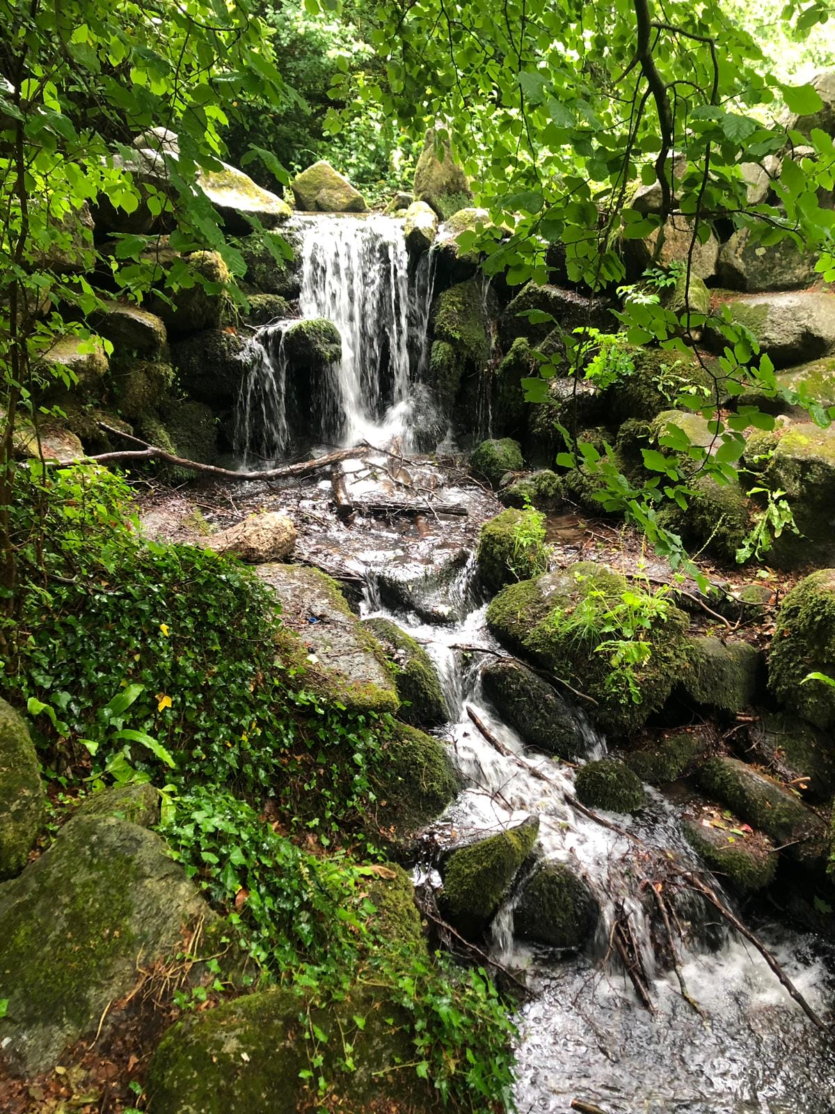 Day 7 did not include many photo opportunities because of the weather but this little waterfall in Marlay Park cheered us up.