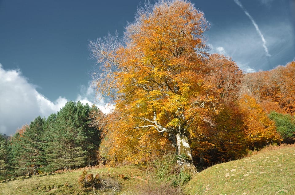 Autumn weather on the Camino
