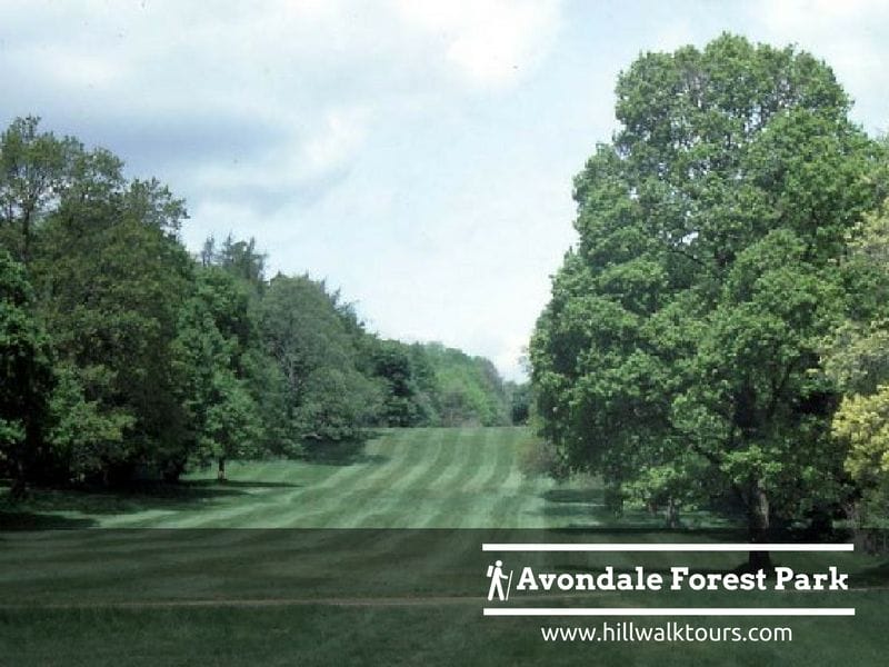 Avondale Forest Park Wicklow Way