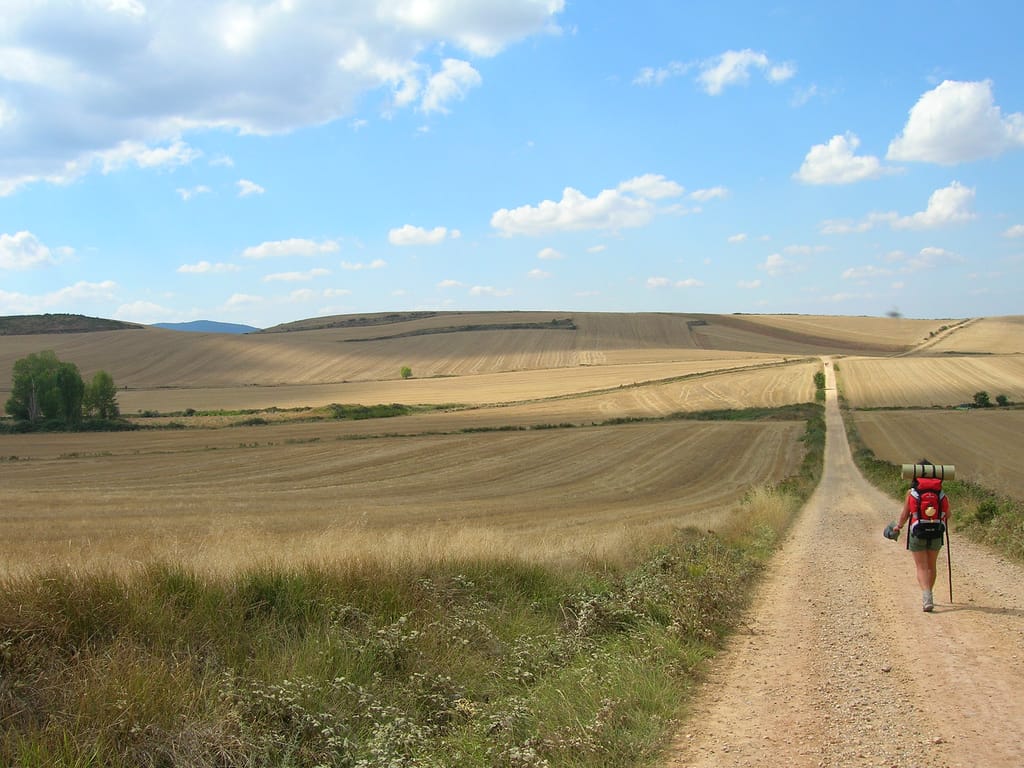 Dusty Trail on the Camino Frances