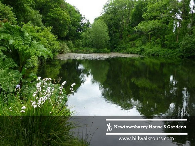 Newtownberry Forest Park