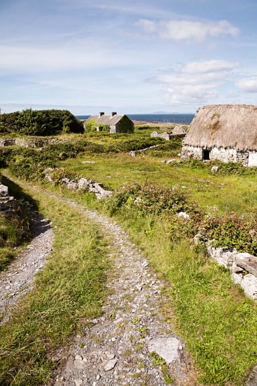 thatched-cottages-ireland-grundy