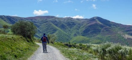 Best Time To Walk the Camino