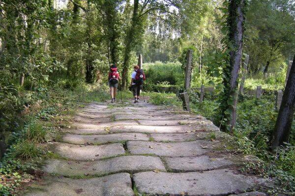 10 attributs du pèlerin de Compostelle