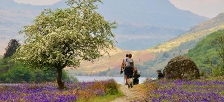 West Highland Way Hillwalk Tours Ltd.