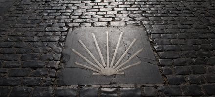 Camino_de_Santiago