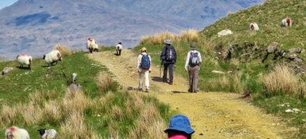 Meeting the locals in Connemara Hillwalk Tours