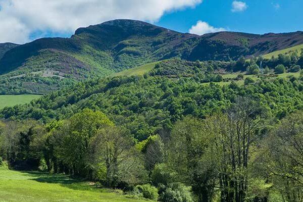 Camino de Santiago countryside
