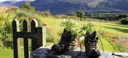 Flower Hiking Boots Hillwalk Tours Ltd.