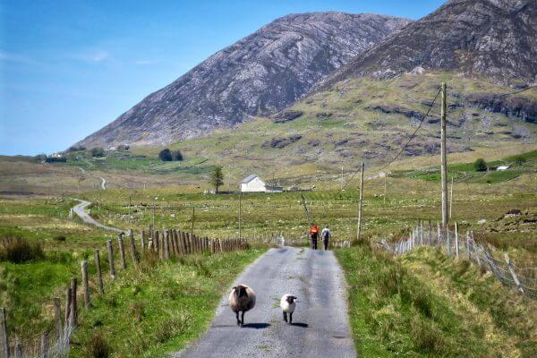 Hiking the Western Way Hillwalk Tours