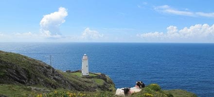 Beara Way Hillwalk Tours Ltd.