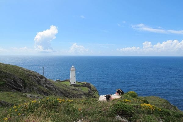 Beara Way Hillwalk Tours Ltd.