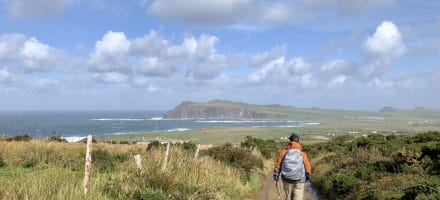 Dingle Way Hillwalk Tours Ltd.