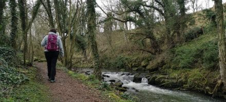 Hiking the Fife Coastal Path, Hillwalk Tours