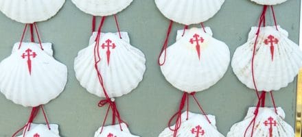 Jakobsmuscheln Symbol des Jakobsweges