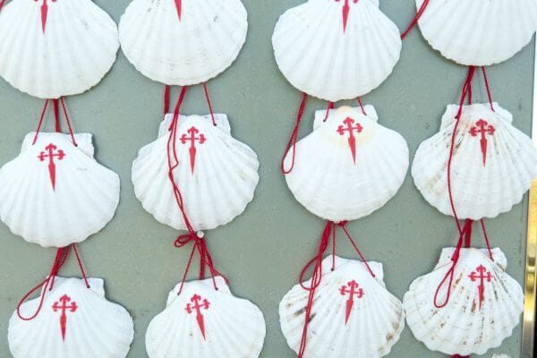 Jakobsmuscheln Symbol des Jakobsweges