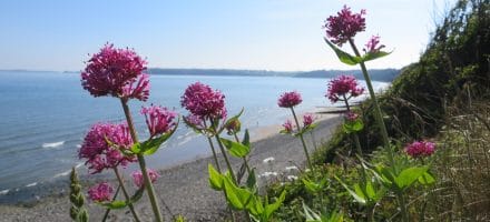 Pembrokeshire Coastal Path Hillwalk Tours Ltd.