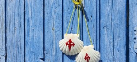 french-way-scallop-shells-hillwalk-tours