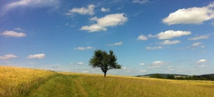 Soleil et chaleur en randonnée