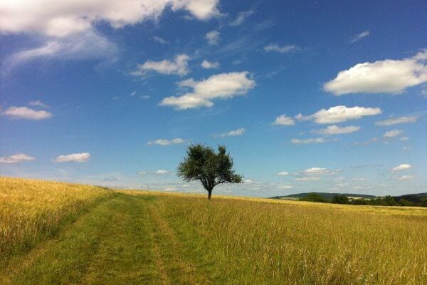 Soleil et chaleur en randonnée