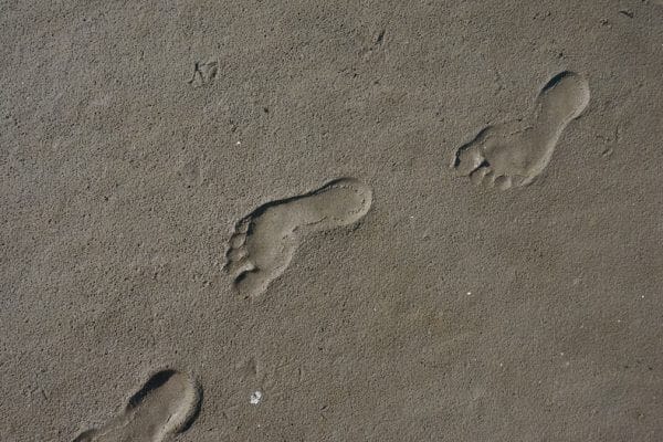 Tourisme responsable 7 principes de Leave No Trace