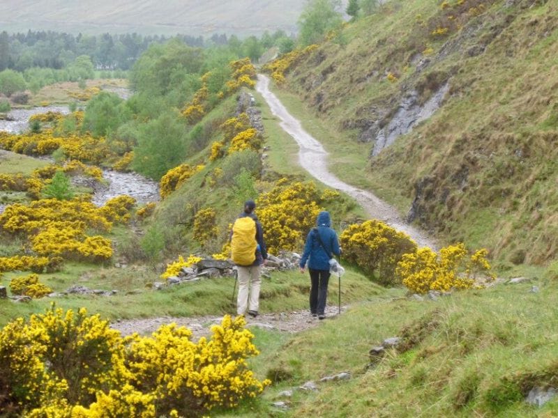 Blühende Landschaft