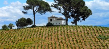 Villa on the Camino Frances