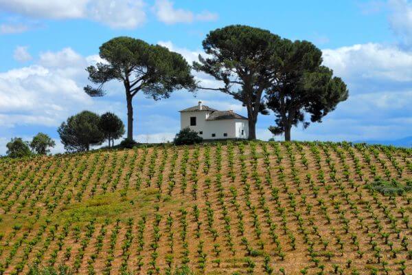 Villa on the Camino Frances