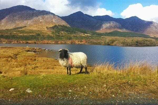 Visiter le Connemara