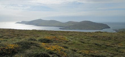 Views on the Beara Way